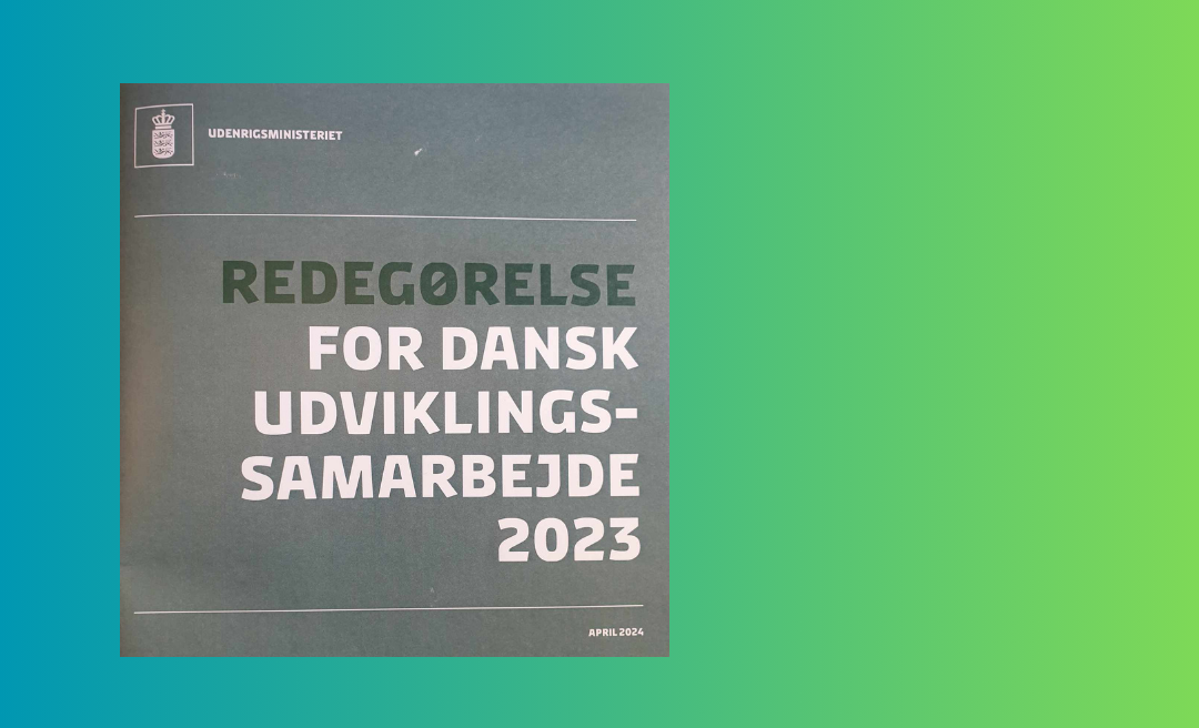 Udviklingssamarbejde 2023